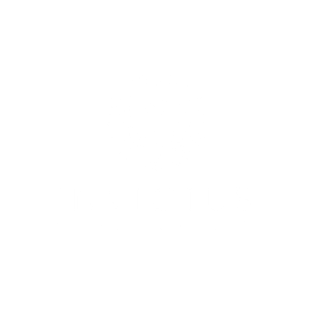 Invictus Flooring Logo