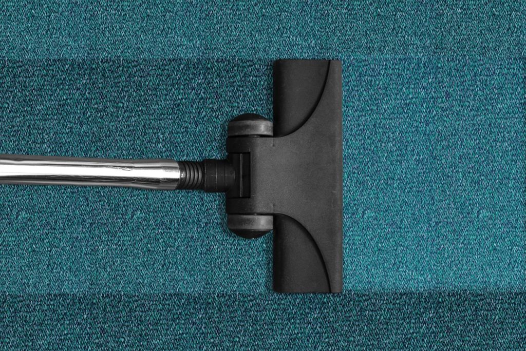 Vacuuming can assist with getting rid of carpet beetles